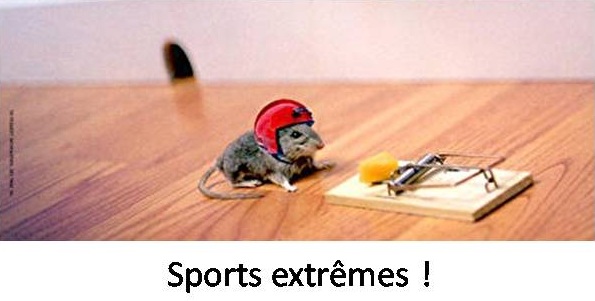 sports_extremes.jpg