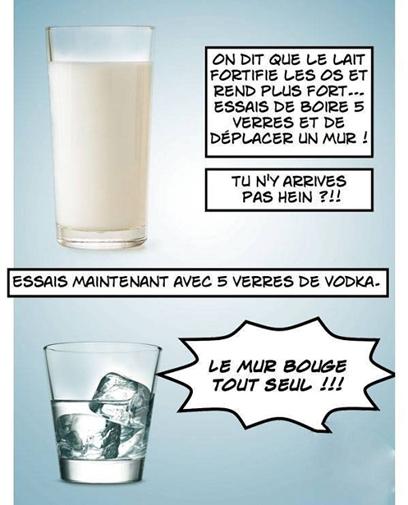 le_lait_et_les_os.jpg