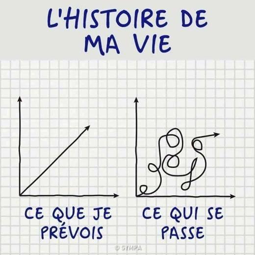 l_histoire_de_ma_vie.jpg